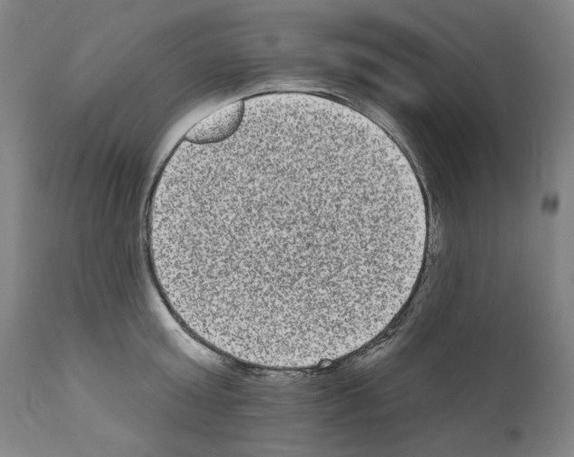 X0000110960803200907311105