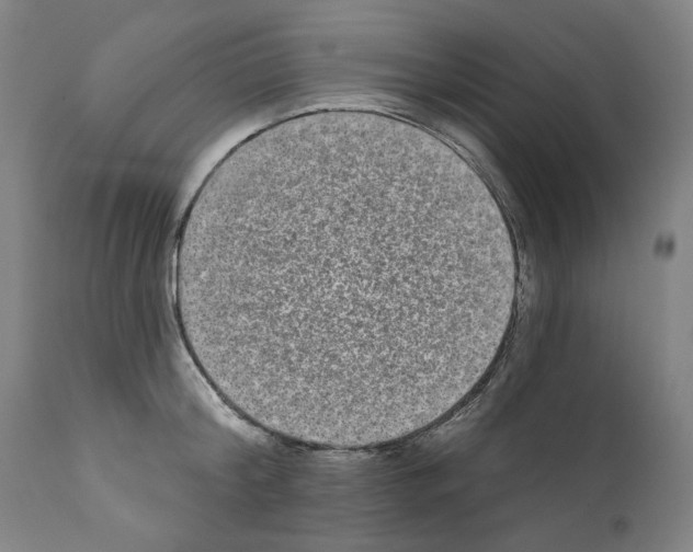 X0000110960804200907311105