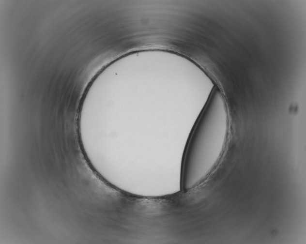X0000110960805200907311105