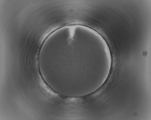 X0000110960806200907311105
