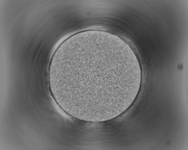 X0000110960808200907311105