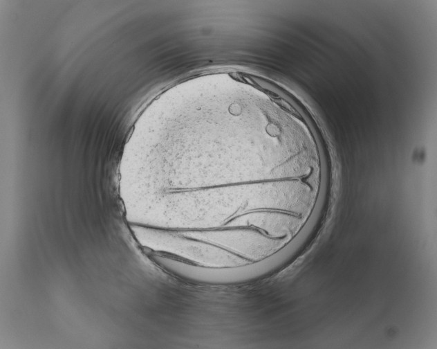 X0000110960809200907311105