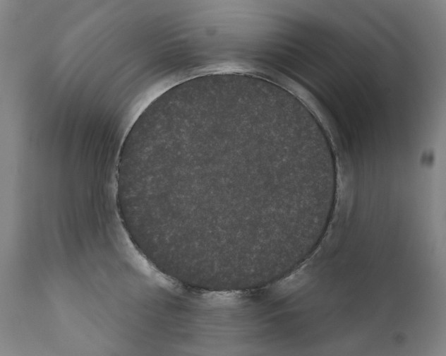 X0000110960810200907311105