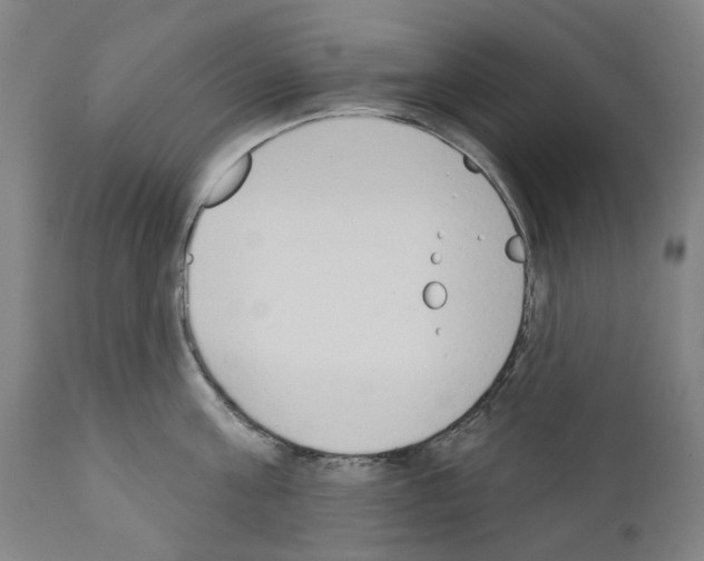 X0000110960811200907311105