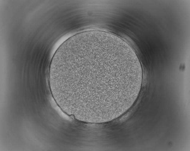 X0000110960812200907311105