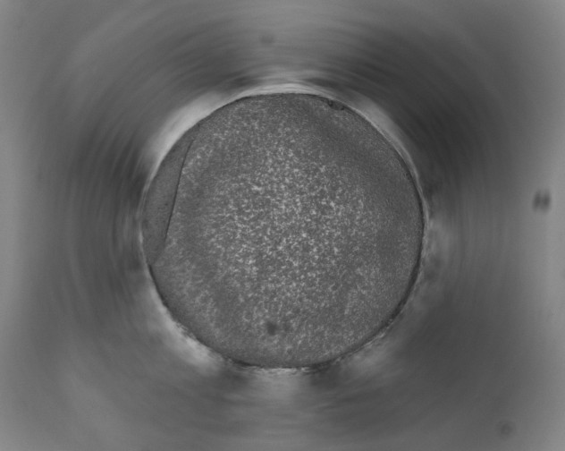 X0000110960813200907311105