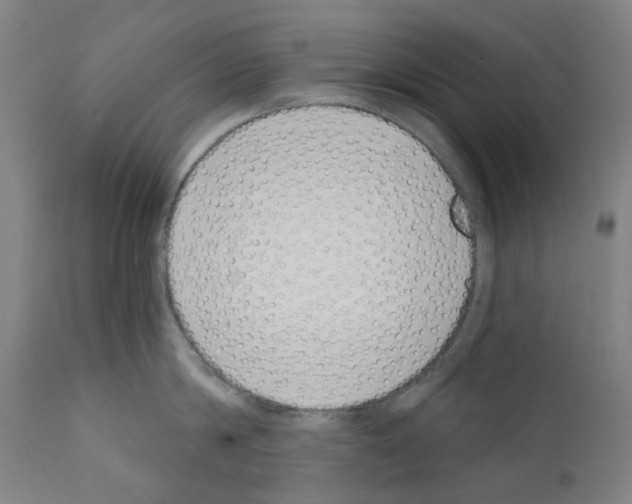 X0000110960814200907311105