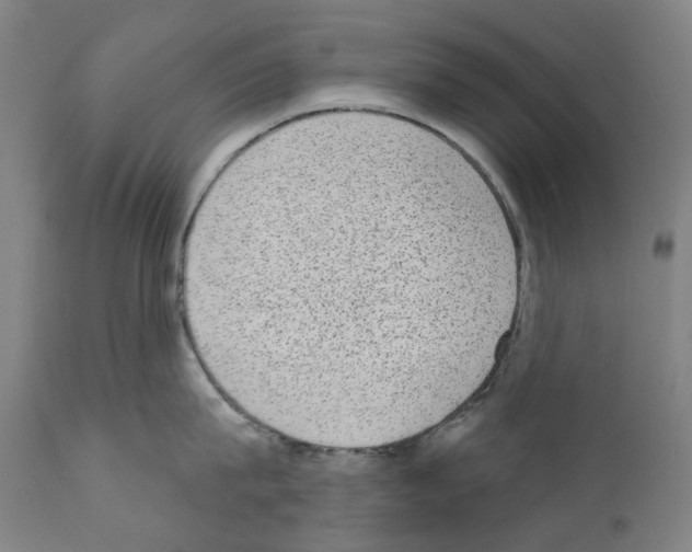 X0000110960815200907311104