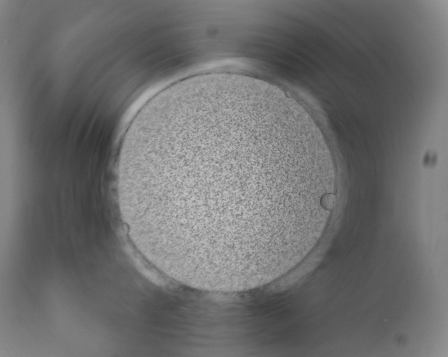 X0000110960816200907311104