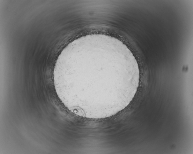 X0000110960819200907311104