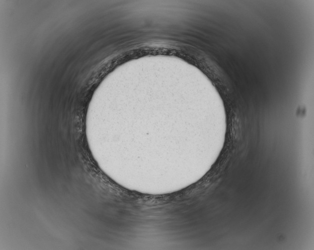 X0000110960821200907311104