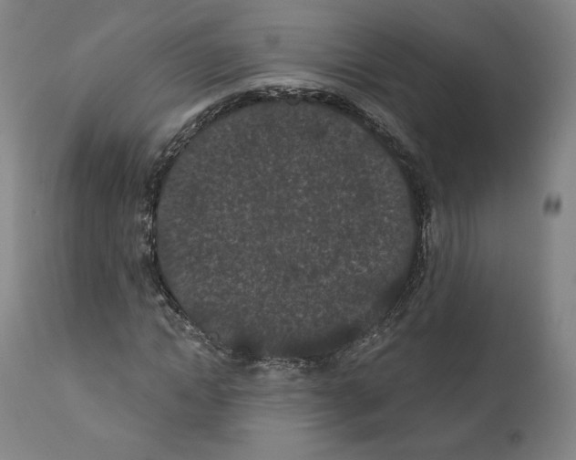X0000110960822200907311104