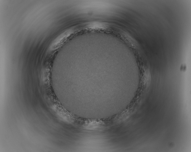 X0000110960824200907311104