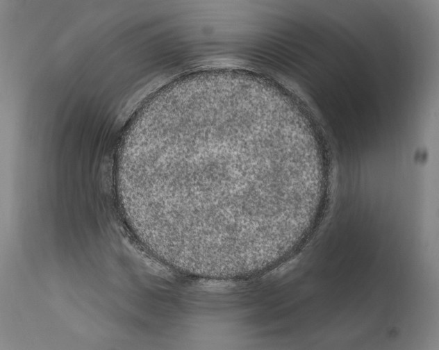 X0000110960825200907311104