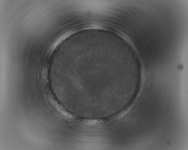 X0000110960826200907311104