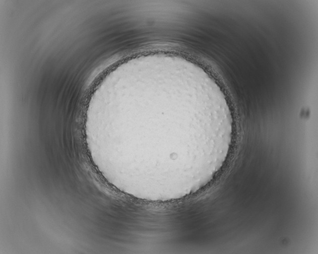 X0000110960827200907311104