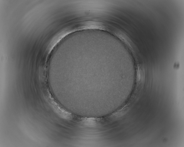 X0000110960828200907311104