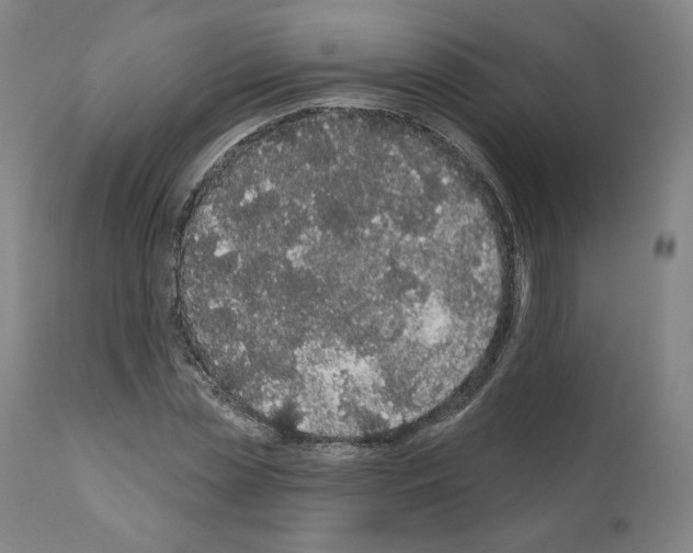 X0000110960829200907311104