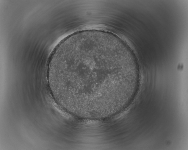 X0000110960830200907311104