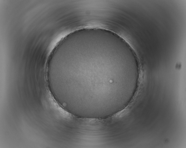 X0000110960832200907311104