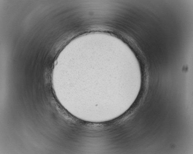 X0000110960833200907311104