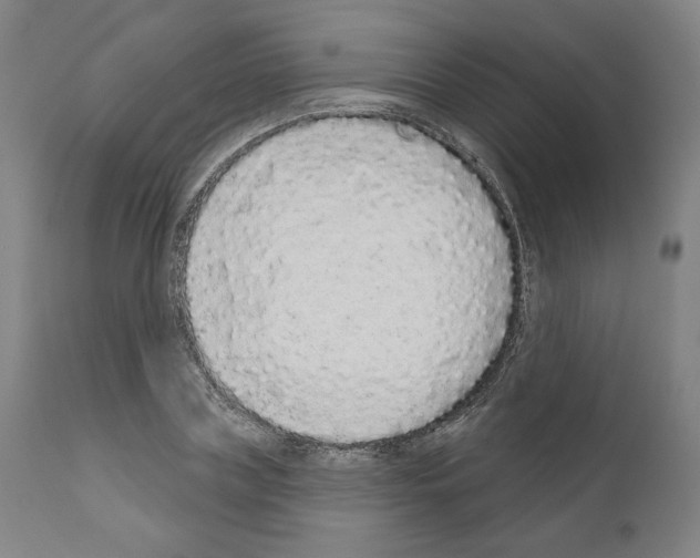 X0000110960835200907311104