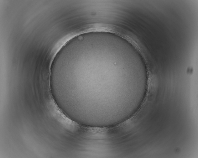 X0000110960836200907311104