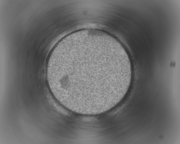 X0000110960837200907311104