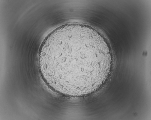 X0000110960839200907311104