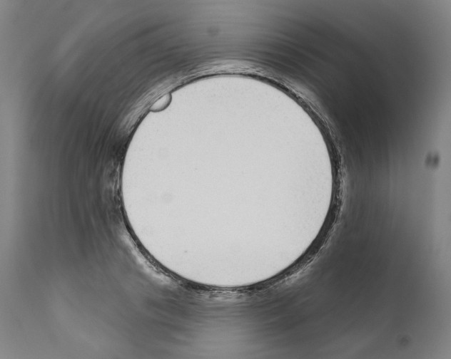 X0000110960841200907311104