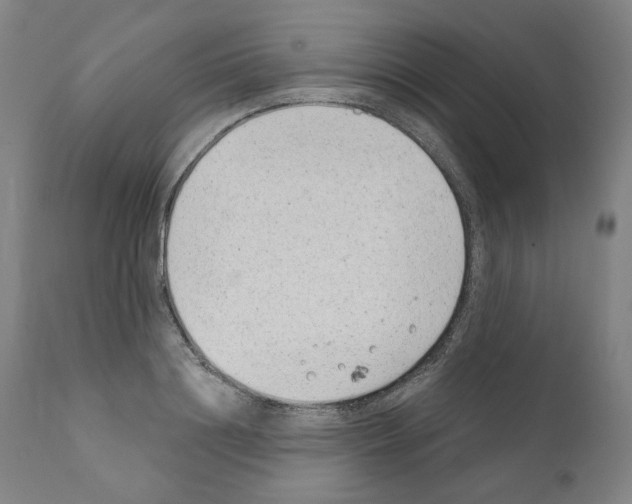 X0000110960844200907311104