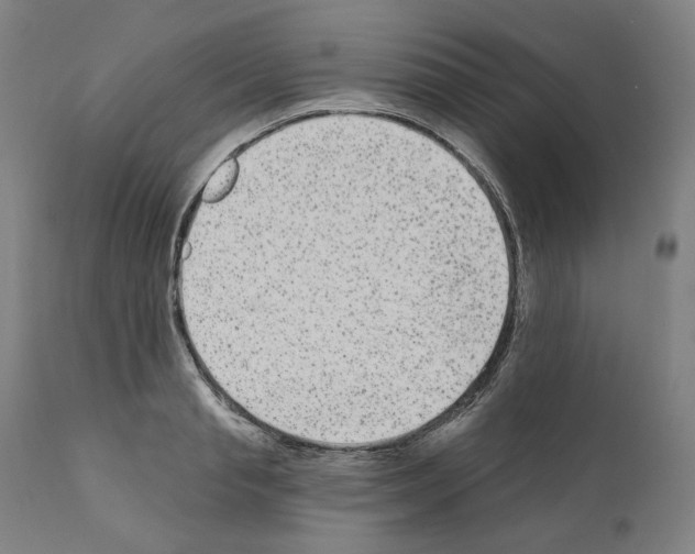 X0000110960845200907311104