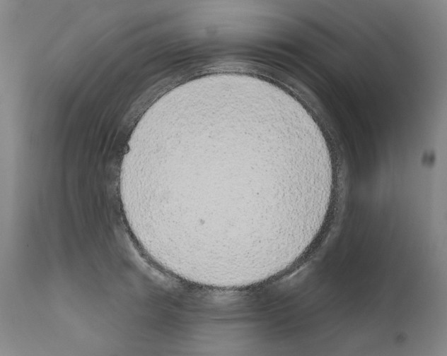 X0000110960849200907311104