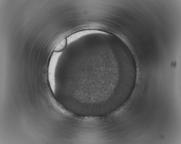 X0000110960850200907311104
