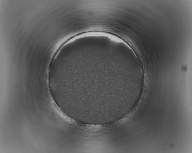 X0000110960854200907311104