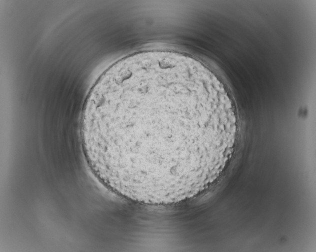 X0000110960855200907311104