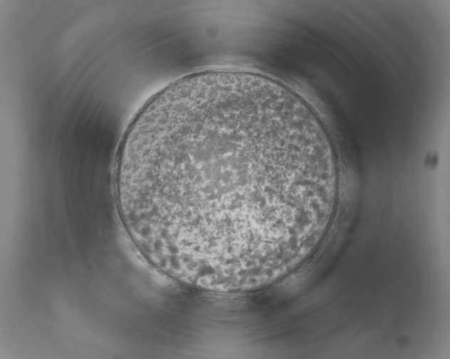 X0000110960856200907311104