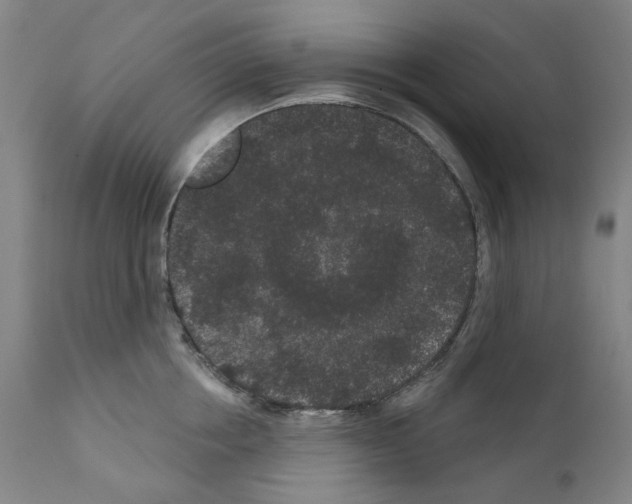 X0000110960858200907311104