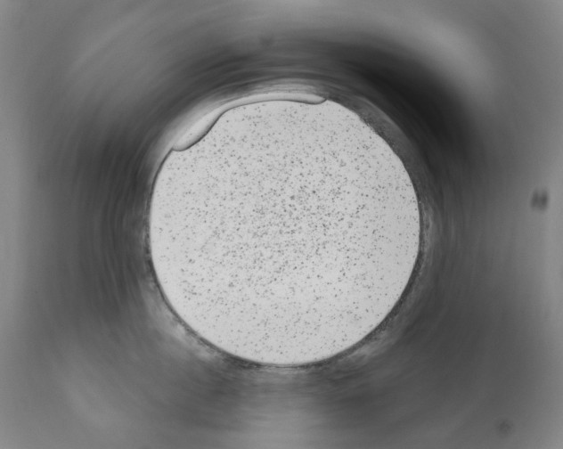 X0000110960860200907311104
