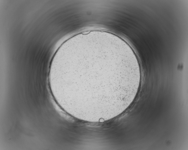 X0000110960861200907311104