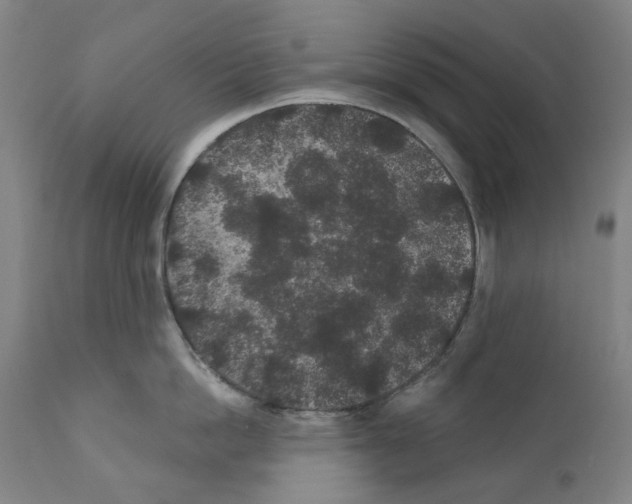 X0000110960862200907311104