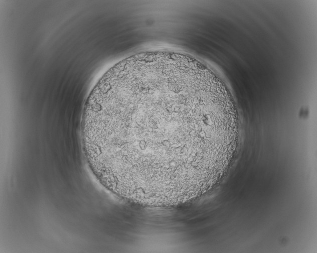 X0000110960863200907311104