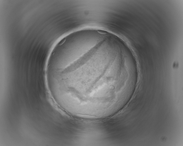 X0000110960864200907311104