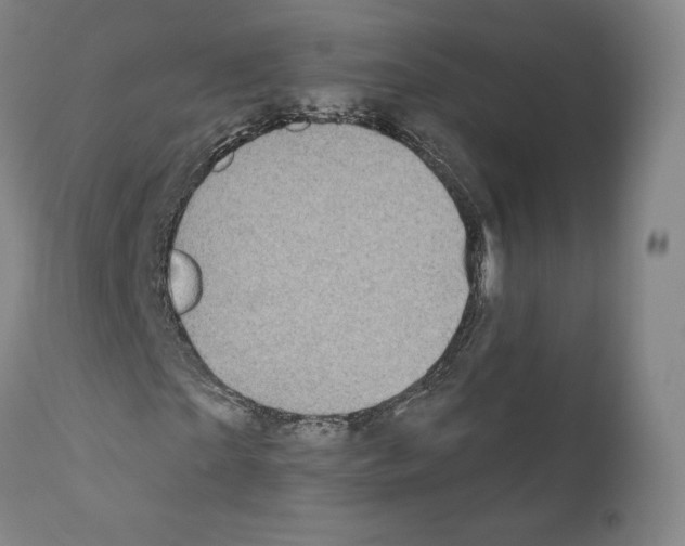 X0000110960865200907311104