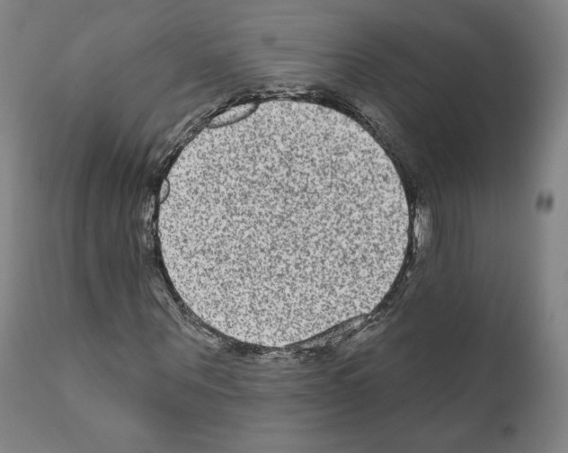 X0000110960867200907311104