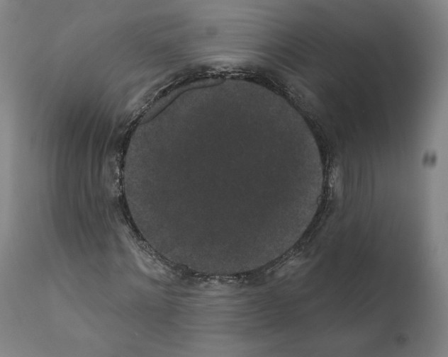 X0000110960868200907311104