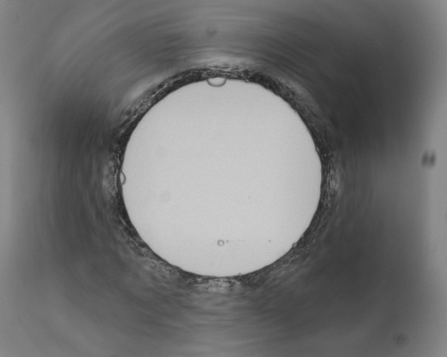 X0000110960869200907311104