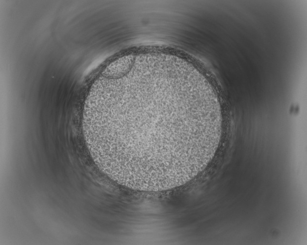 X0000110960871200907311104