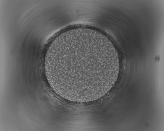 X0000110960872200907311104