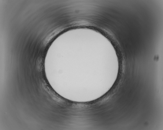 X0000110960873200907311104
